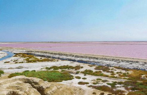 Les Piboules - Foto 28