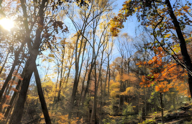 Autumn Wings - A Natural Retreat - Foto 30