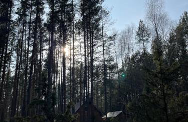 Chata przy lesie - Foto 40