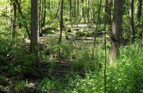 Bei Oparius wohlfühlen - Foto 31