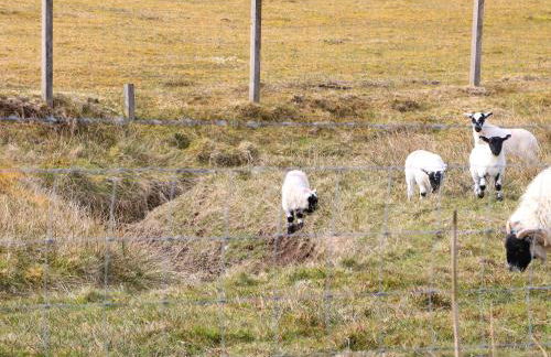 North Light Studio - Foto 20