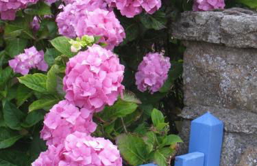 La maison du port - Photo 23