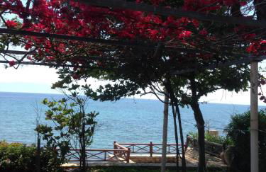 Villa Nelly by the sea - Foto 15