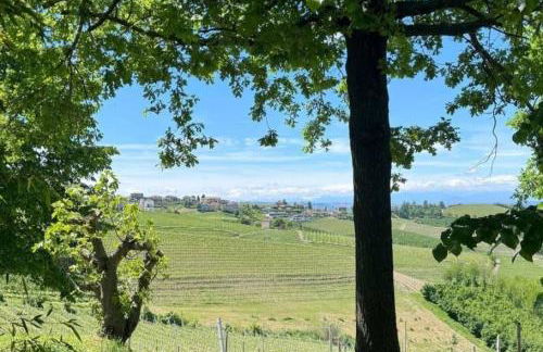 Luxury Villa Cenaia - Foto 16