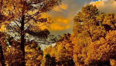 El Rincón de BeBa - Foto 2