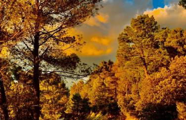 El Rincón de BeBa - Foto 2