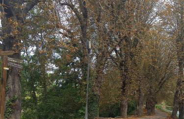 Appartement atypique indépendant sur péniche - Foto 69