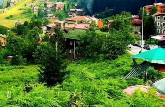 Dereli Suit Apart - Foto 52