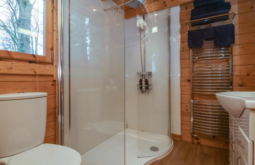 Woodpeckers - Photo 21