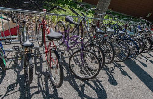 The Rushes - Foto 49