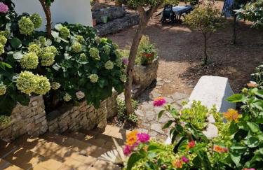 Apartments Hortenzija - Photo 34