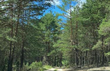 Lasy Jeziora, Cisza i Spokój, Grzybki i Rybki, Dom 180m2 w Swornegacie nad jeziorem Karsińskim - Foto 45