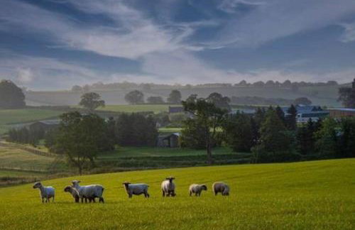 Hollybank Barn - Foto 35