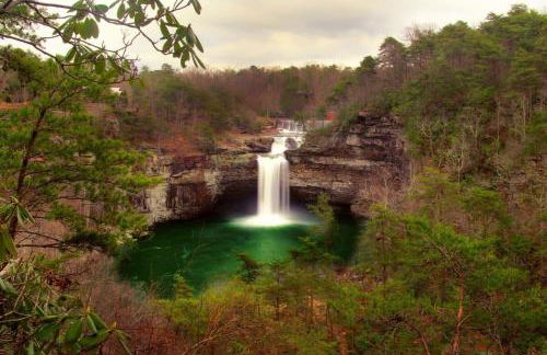 Mountain Treehouse - Magpie Nest - Foto 34