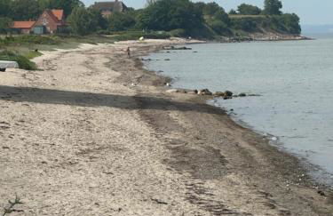 Ostseeblick - Foto 20