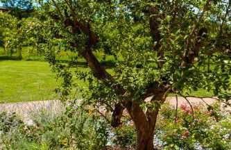 Agriturismo la Chiocciola - Foto 28