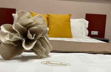 PREMIUM SUITES - Foto 9