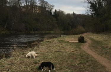 Ghyllie Cottage - Foto 49