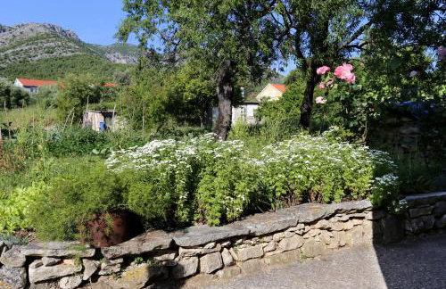 Apartments by the sea Viganj, Peljesac - 10140 - Foto 9