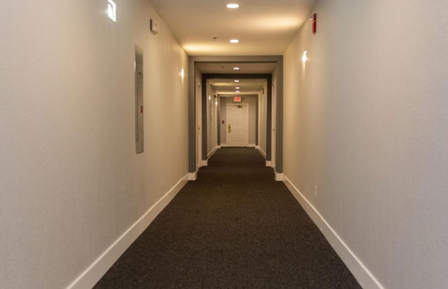 Palm Studio by Orlando Short Term - Foto 21