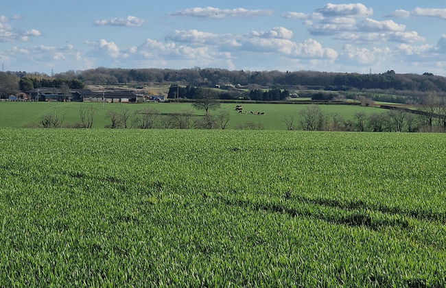 Fully Detached Cottage House Loddington Kettering - Foto 41