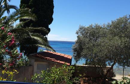 Blue Lagoon - Foto 16