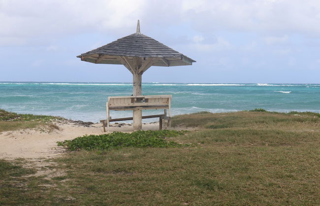 Beach Palm Villa - Photo 52