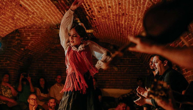 Espectáculo en la cueva histórica Essential Flamenco - Foto 3, Bailaora de flamenco