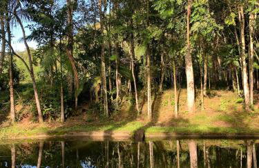 Refúgio do Brilhantte-Belo sítio com piscina e spa - Photo 77