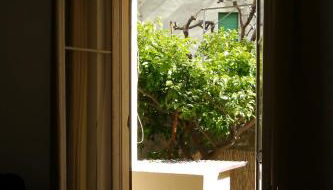 Paradiso Garden - Photo 4