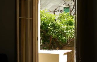 Paradiso Garden - Foto 4