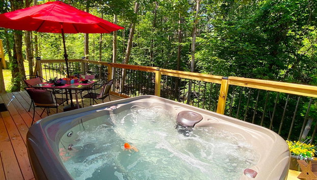 Cozy Bear Den cabin - Foto 2, Imagen principal