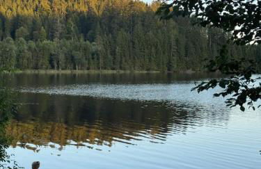 BergOase-Apart am Feldberg - Foto 79