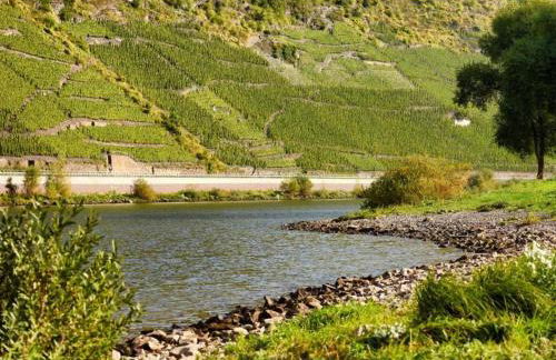 Junkerath Romantic Garden Stay - Foto 56