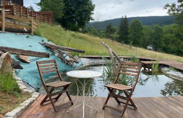 Le Fenil-Logis Sauna Bain Nordique Salle cinéma - Foto 25