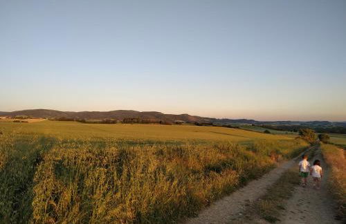 Areeta Etxea - Foto 25