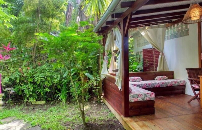 Le Parc aux Orchidées - Foto 13