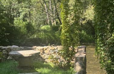 Le Moulin de Rochopt - Photo 8