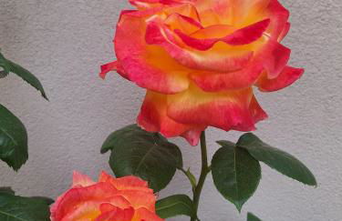 Bilocale moderno Sabbia e Cielo - 5min dal mare - Foto 41