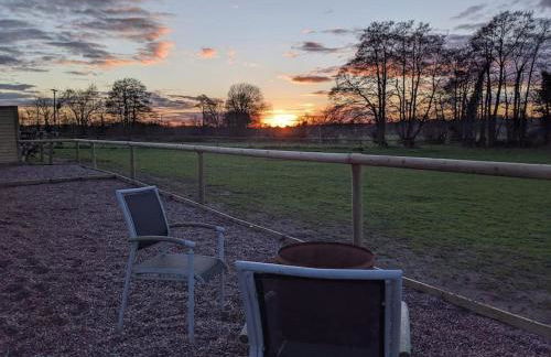 Cosy Owl - Shepherds Hut - Foto 37