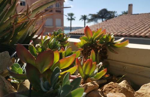 OFDL B T1 BANDOL - Briotine Foyalais - Foto 20