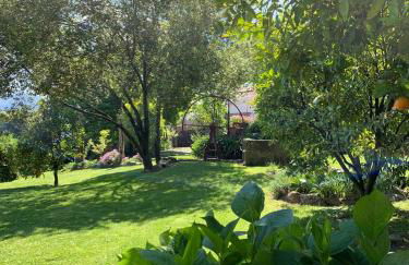 Quinta de Canhões - Foto 15