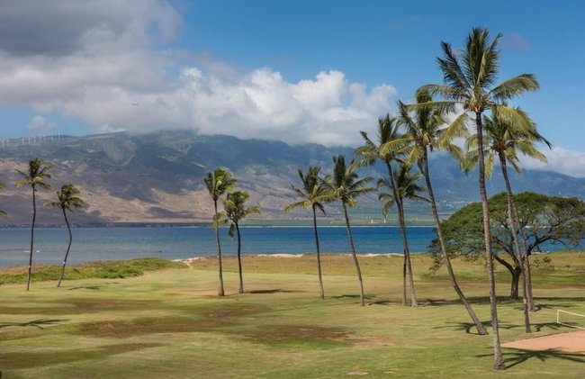 Calming Coastal Vistas - Photo 49