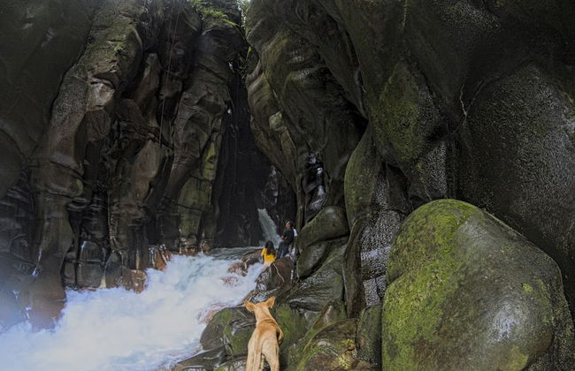 Oski Lodge - Foto 64