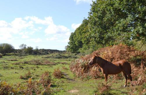 The Hideaway - Foto 4