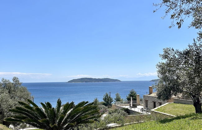 Golden King - Foto 60