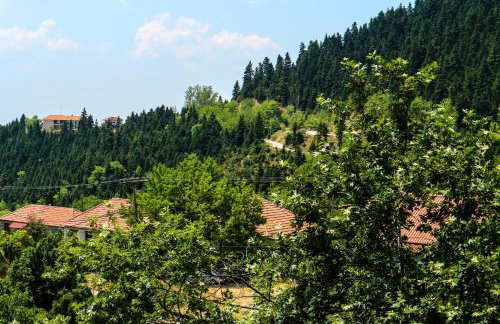 Hotel Elatofilito - Foto 30