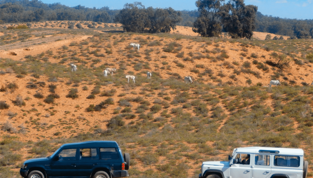 Massa National Park Jeep 4x4 (Almuerzo incluido) - Photo 2