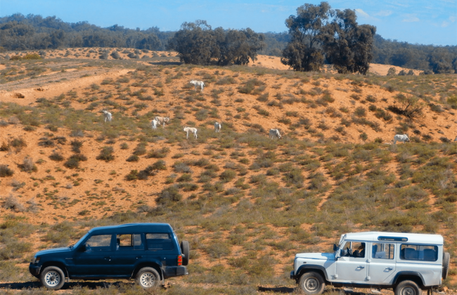 Massa National Park Jeep 4x4 (Almuerzo incluido) - Foto 2