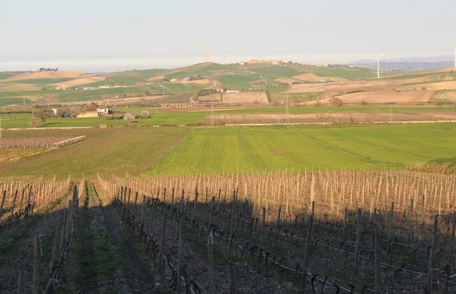 Relais I Dolci Grappoli - Foto 25